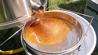 Harvesting BUCKETS of Honey 95 Pounds [upl. by Pengelly]