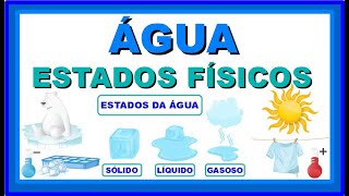 ESTADOS FÍSICOS DA ÁGUA  Vila Educativa [upl. by Aeki]