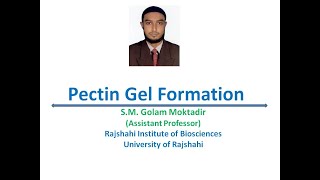 Pectin Gel Formation [upl. by Aruasi947]