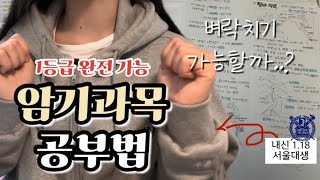 내신 118 서울대생의 암기과목 공부법  1등급 진짜 가능 진짜 암기과목은 1등급 맞을 수 있음  벼락치기 공부법 [upl. by Errot123]