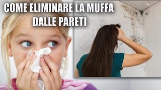 RIMEDI PER ELIMINARE LA MUFFA DALLE PARETI [upl. by Britteny]