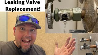 How to Replace a Leaking Shutoff Valve Under a Sink [upl. by Hallagan343]