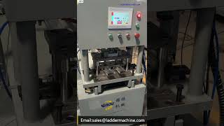 CNC Punching Machine for the Round Holes Punching for Round Rungs Ladder [upl. by Ylicis]