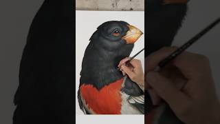 Greg quotCRAOLAquot Simkins paints a Grosbeak in his painting quotSoda Popquot [upl. by Walcoff]