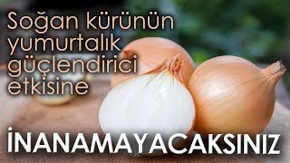 Soğan Kürünün Yumurtalık Güçlendirici Etkisine İnanamayacaksınız [upl. by Ymar636]