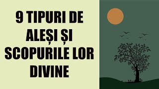 9 tipuri de aleși și scopurile lor divine [upl. by Newhall]