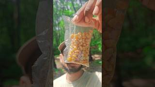 Bamboo Popcorn Cooking Survival Cooking Survival Outdoors Camping Fire [upl. by Metzger663]