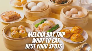 MELAKA DAY TRIP WHAT TO EAT IN MALACCA MALAYSIA BEST DIM SUM SPOTS WITHIN AND OUTSIDE JONKER 马六甲美食 [upl. by Yllen]