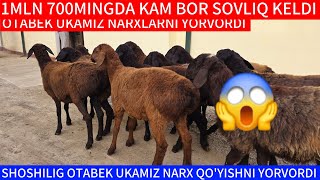 😱1MLN 750MINGDA KAMI BOR BOGOZ SOVLIQ QOYLAR KELDI SHOSHILIG [upl. by Aleen]