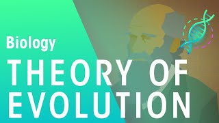 The Theory of Evolution by Natural Selection  Evolution  Biology  FuseSchool [upl. by Diane]