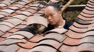 7 years living in the forest making clay tiles building chicken coop moving chickens to new place [upl. by Trab]