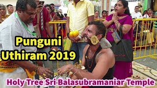 Panguni Uthiram 2019  Singapore [upl. by Ehrlich454]