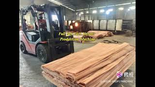 Keruing Face Veneer IndonesiaGurjan wood face veneerplywood face veneer machinexrdplymachine [upl. by Enomar]