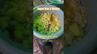 quotMac amp Cheesequot Vegan style with Avocado Red 🌶️ Zucchini and much more watch and see [upl. by Ardnaek]