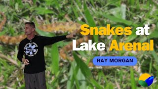 Snakes at lake Arenal  Presented at Applied HOPE Foundation by Ray Morgan [upl. by Ilesara363]