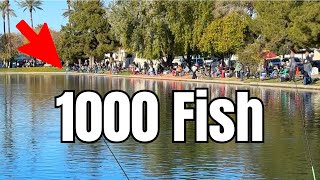 The Reality of Fishing a Trout Derby 750lbs [upl. by Ecirtnas977]