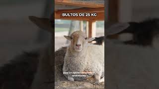 Alcanza el máximo potencial de tus ovinos con Borrego Multipartícula de Albapesa 🐑🔥 ovinos purina [upl. by Marih]