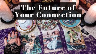 Whats the Future of Your Connection Coffee amp Tarot [upl. by Howes975]