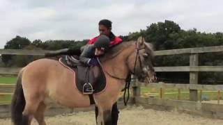 Trent Park Equestrian Centre Promotional Video [upl. by Weiler]