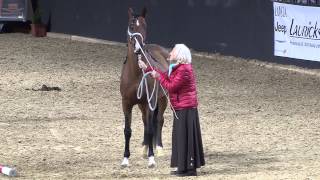 Linda Tellington Jones auf der EQUITANA 2013 [upl. by Enelrad]