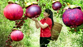 How to Harvest Mangosteen goes to the market sell  Harvesting and Cooking  Tieu Vy Daily Life [upl. by Rennane]