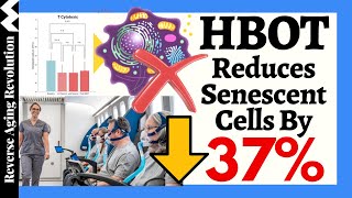 Hyperbaric Oxygen Therapy REDUCES Senescent Cells 37 amp INCREASES Telomere Length 29 [upl. by Tekcirc]