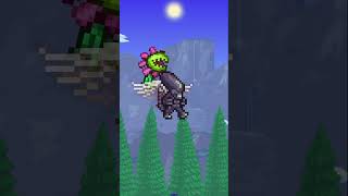 Terraria Wings Facts [upl. by Eugenius]