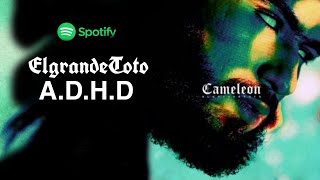 El Grande Toto  ADHD Album Caméléon Spotify Premium [upl. by Kittie]