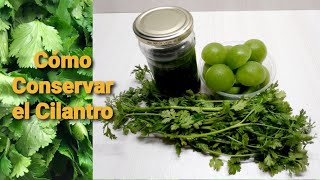 COMO CONSERVAR EL CILANTRO FRESCO Y SU TALLO👩🏽‍🍳Dtodito con Cami [upl. by Bridges]