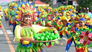 Lucky Colors of the year 2025 in the Philippines Feng Shui Home [upl. by Erialb]