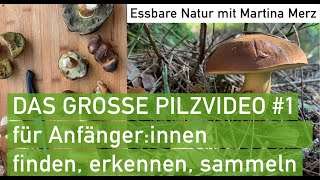 Großes Pilzvideo 1 für Anfängerinnen Essbare giftige und andere Pilze im September [upl. by Gotthelf745]