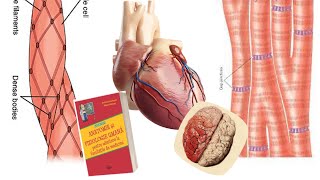 ADMITERE MEDICINA Barron’s Cap8 TESUTUL MUSCULAR CARDIAC  part2 [upl. by Auqeenwahs]