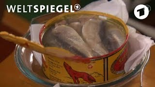 Surströmming der schwedische Gammelfisch [upl. by Erv]