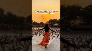 Delhi Evening🫶🌅youtube delhi evening pigeon delhite delhigirl freedom eveninglook sunset [upl. by Nonad341]