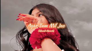 Agar tum mil jao  SlowedReverb  Full song  By Shreya Ghoshal [upl. by Nonnac]