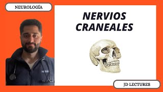 NERVIOS CRANEALES  GENERALIDADES  NEUROLOGÍA [upl. by Elleivad]