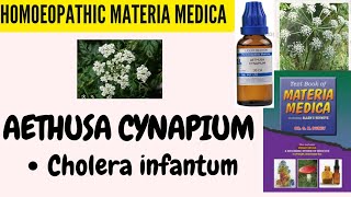 Aethusa CynapiumPart 3Cholera InfantumSK Dubey decodesHOMOEOPATHIC MATERIA MEDICA🪴🎋 [upl. by Nodnart43]