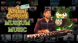 Museum Music  Animal Crossing New Horizons Cover [upl. by Colfin]