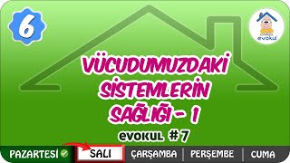 Vücudumuzdaki Sistemlerin Sağlığı 1  6 Sınıf uzaktanegitim evokul Kampı [upl. by Leikeze859]