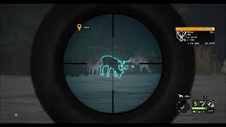 Diamond Fallow Deer  Hirschfelden Hunting Reserve  theHunter Call of the Wild 2024 12 04 [upl. by Ivel947]