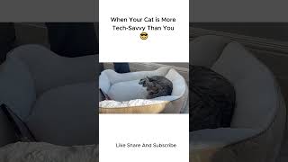 Curious Cat Watches Video on Mobile 📱  Adorable Reaction Caught on Camera irfan cat pets [upl. by Arihas]