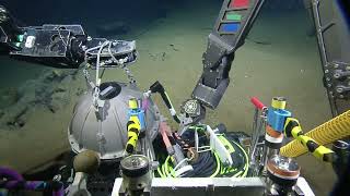 OET ROV Operations for Ocean Networks Canada  Nautilus Live [upl. by Amil]