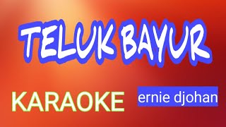 TELUK BAYUR  ernie djohan KARAOKE  VOKAL PRIA  HD [upl. by Doak]