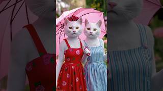 Cat best friends 👭👬 shorts cat love trending kitten [upl. by Lowson28]