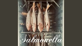 SALMONELLA [upl. by Assenyl869]