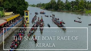 Onam Special The Snake Boat Race at Kerala [upl. by Yenal]