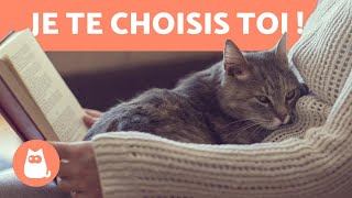 Comment les chats CHOISISSENTILS leurs MAÎTRES  🧍‍♀️🐈 Découvrez [upl. by Hayward]