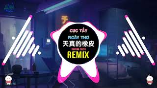 白水寒  天真的橡皮 DJ林泽版 2024 Cục Tẩy Ngây Thơ Remix Tiktok  Hot Tiktok Douyin DJ抖音版 [upl. by Jeannie]