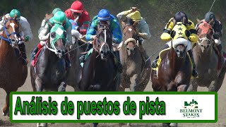 Análisis de los puestos de pista del BelmontStakes  EN VIVO [upl. by Harwin464]