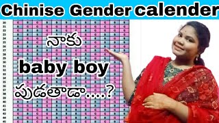 Chinise calender gender pridiction  నాకు baby boy పుట్టబోతున్నాడా  Lillyliavlogs 👩‍❤️‍👩 [upl. by Anniala]